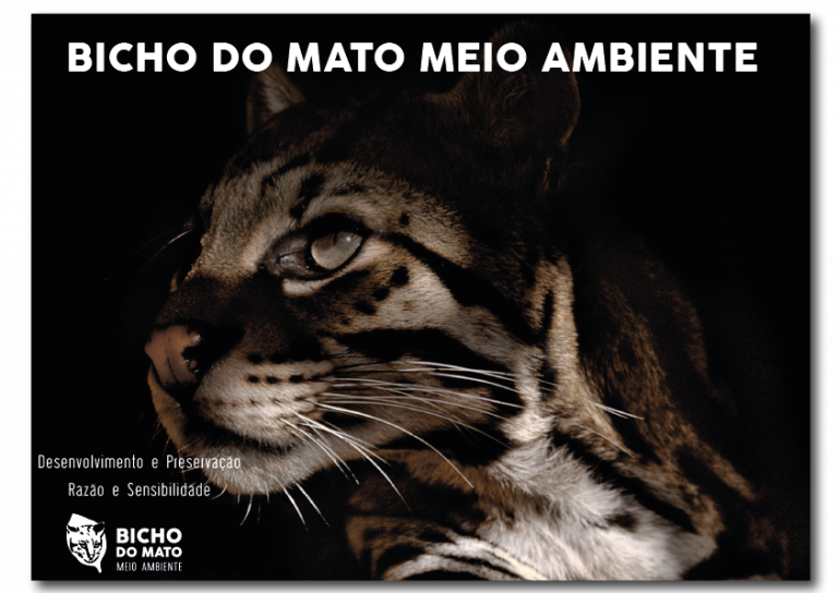 Portfolio Comercial